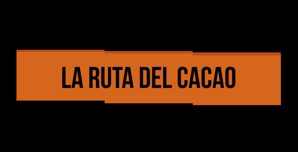 Carátula del video